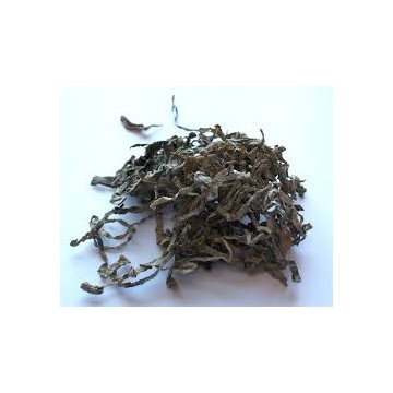 Mořská řasa - Kombu 100g SALVIA PARADISE